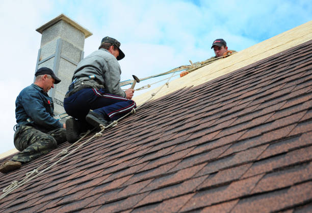Best Gutter Installation and Roofing  in North Braddock, PA